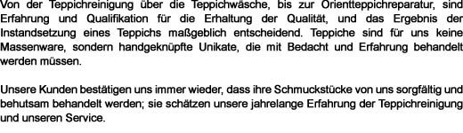 Teppichreinigung Hasselbach/Hunsrück