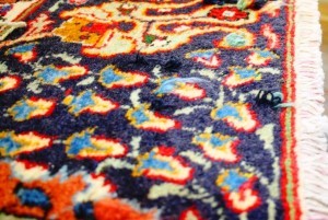 Teppich mit Mottenlöchern